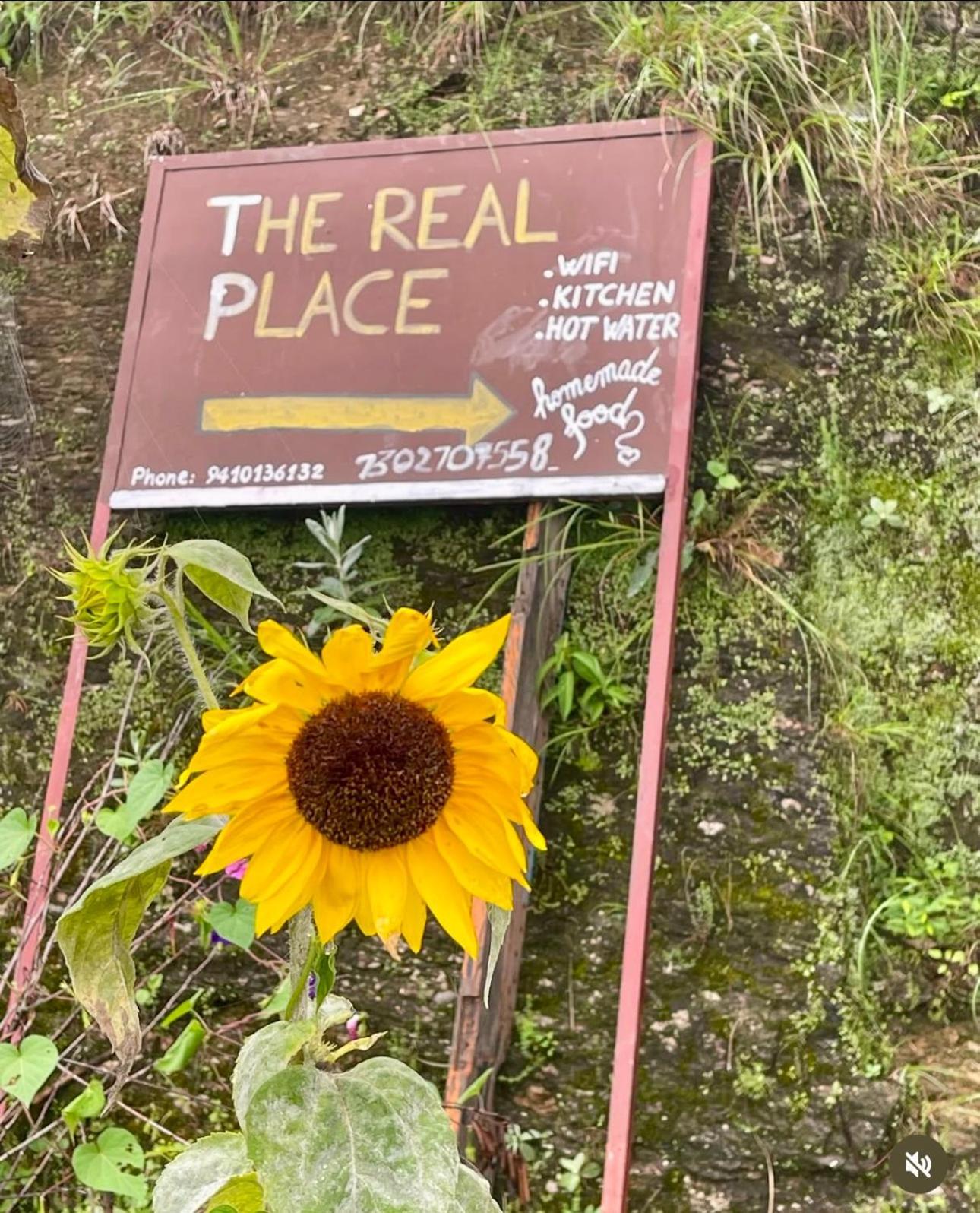 The Real Place Almora Bagian luar foto